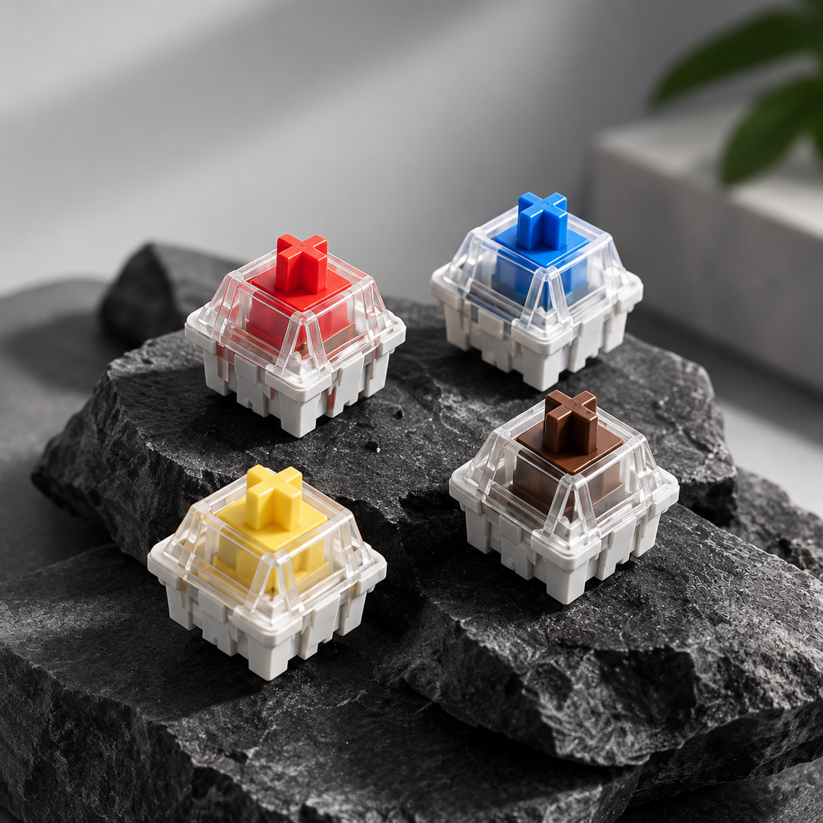 Switches