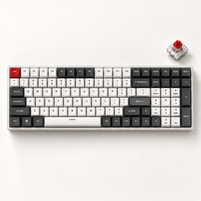 Clavier mécanique RVB remplaçable à chaud tri-mode RK Royal Kludge RK100